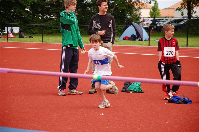 Klik op de foto om originele grootte te bekijken