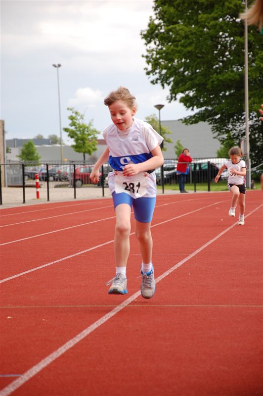 Klik op de foto om originele grootte te bekijken