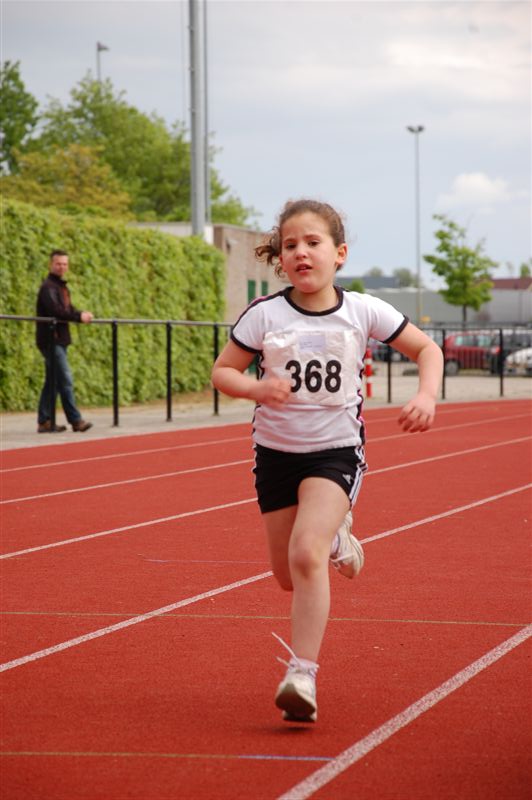 Klik op de foto om originele grootte te bekijken