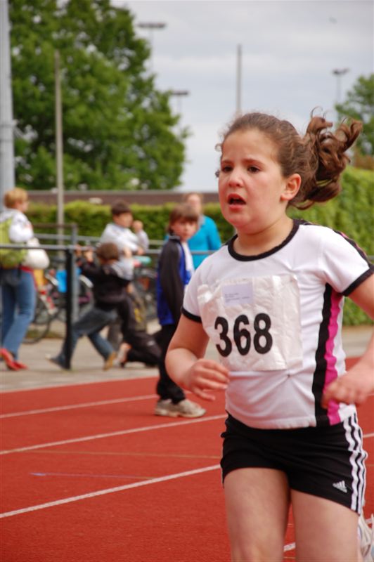 Klik op de foto om originele grootte te bekijken