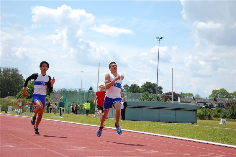 Klik op de foto om originele grootte te bekijken