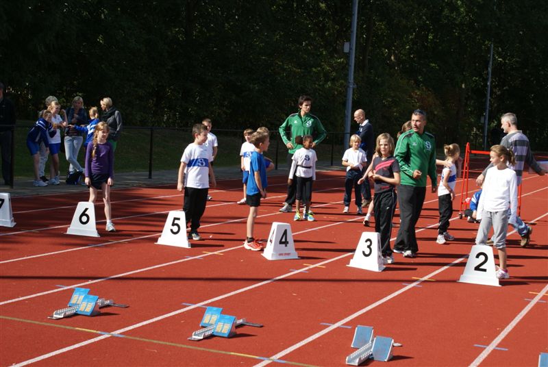 Klik op de foto om originele grootte te bekijken