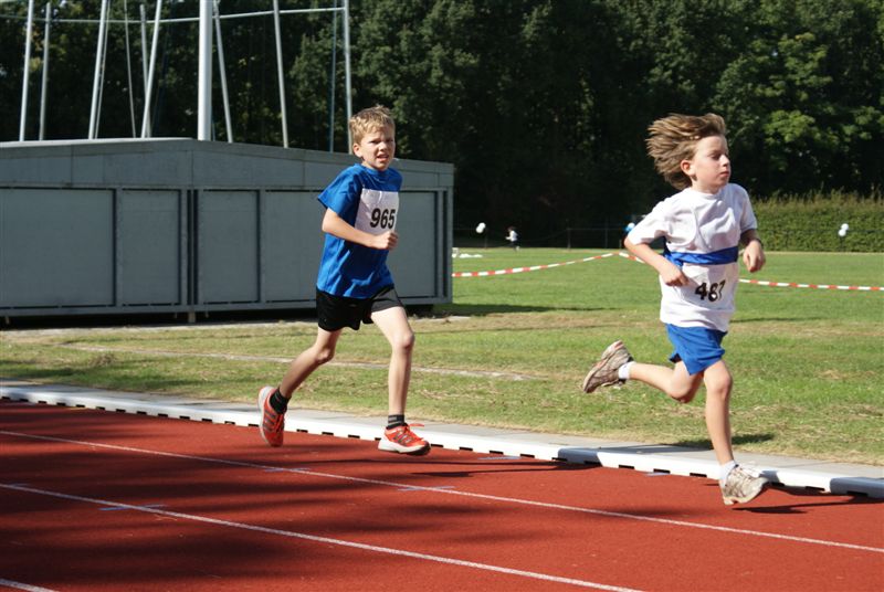 Klik op de foto om originele grootte te bekijken