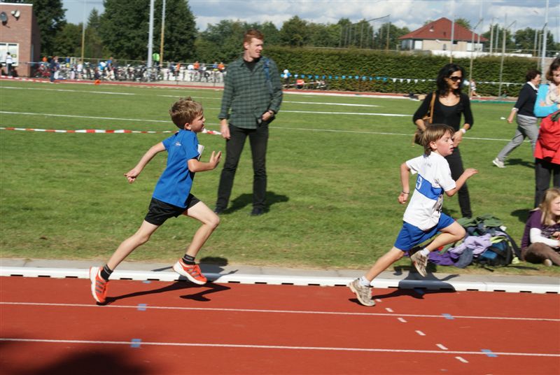 Klik op de foto om originele grootte te bekijken