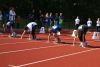 swift_club_kamp_2012_041.JPG