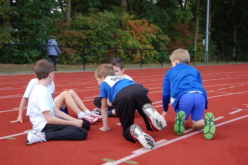 Klik op de foto om originele grootte te bekijken