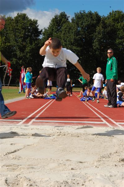Klik op de foto om originele grootte te bekijken