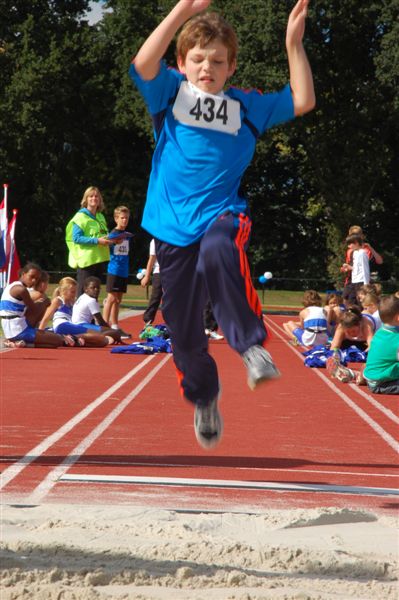 Klik op de foto om originele grootte te bekijken