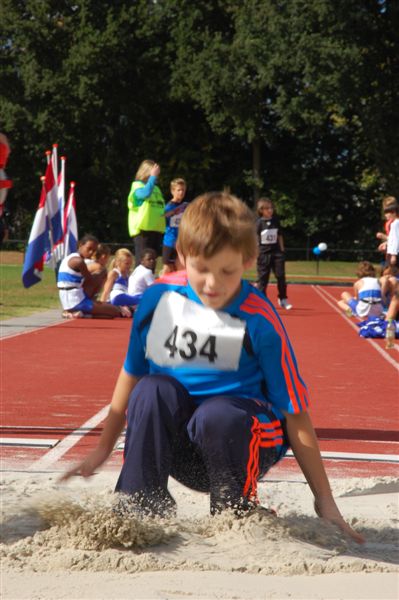 Klik op de foto om originele grootte te bekijken