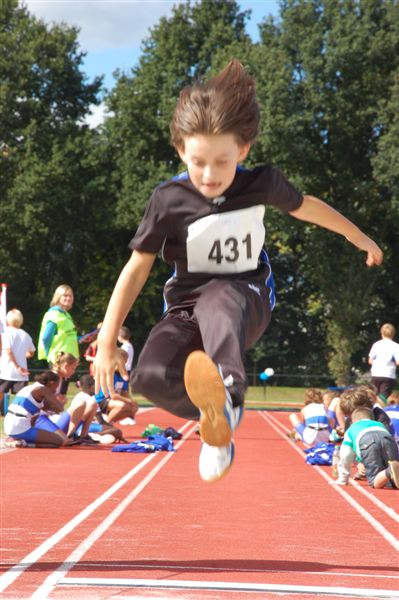 Klik op de foto om originele grootte te bekijken