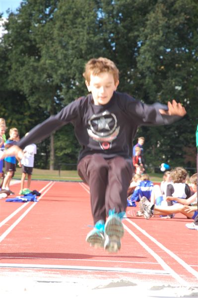 Klik op de foto om originele grootte te bekijken