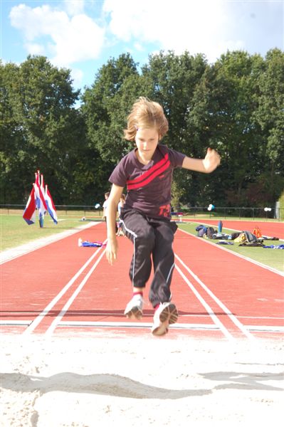 Klik op de foto om originele grootte te bekijken