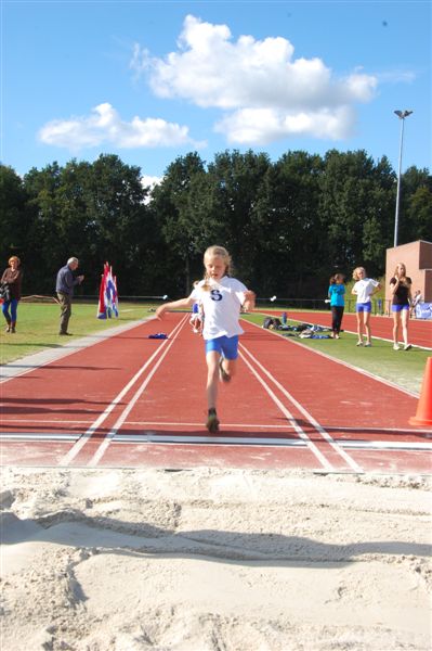 Klik op de foto om originele grootte te bekijken