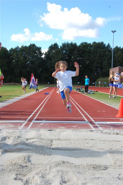 Klik op de foto om originele grootte te bekijken