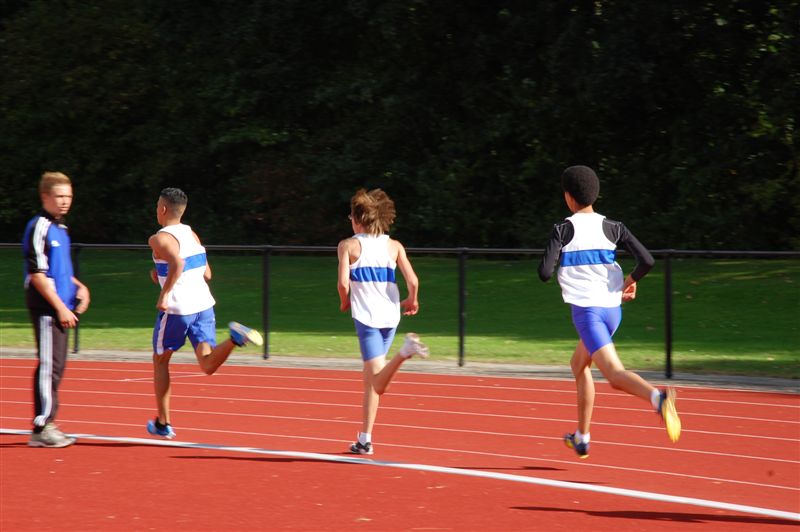 Klik op de foto om originele grootte te bekijken