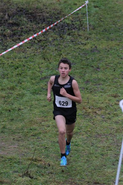 Klik op de foto om originele grootte te bekijken