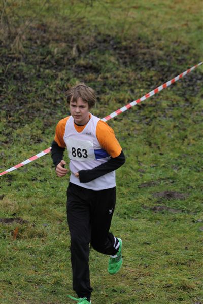 Klik op de foto om originele grootte te bekijken