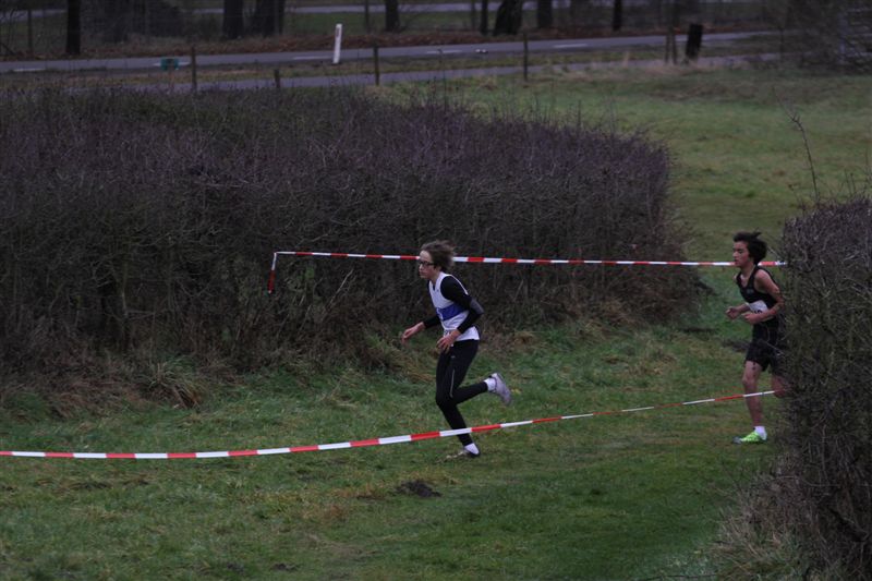 Klik op de foto om originele grootte te bekijken