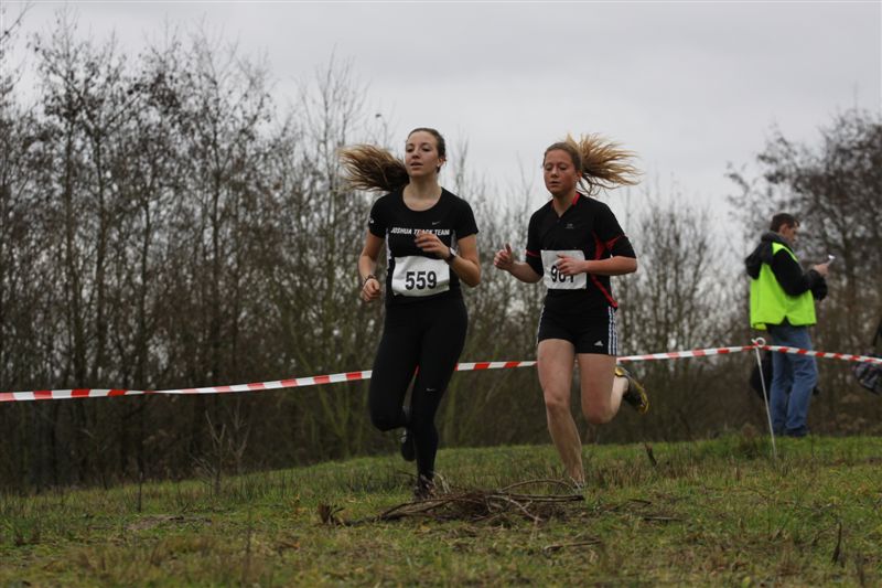 Klik op de foto om originele grootte te bekijken