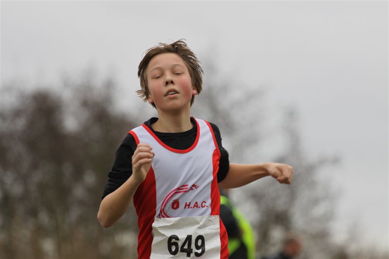 Klik op de foto om originele grootte te bekijken