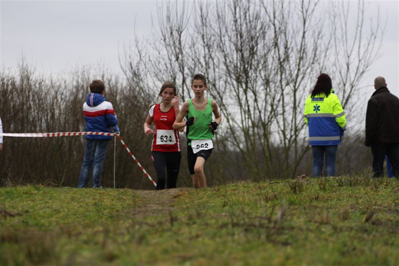 Klik op de foto om originele grootte te bekijken