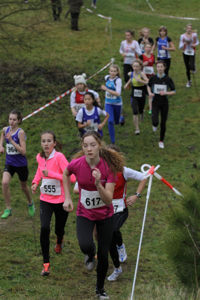 Klik op de foto om originele grootte te bekijken