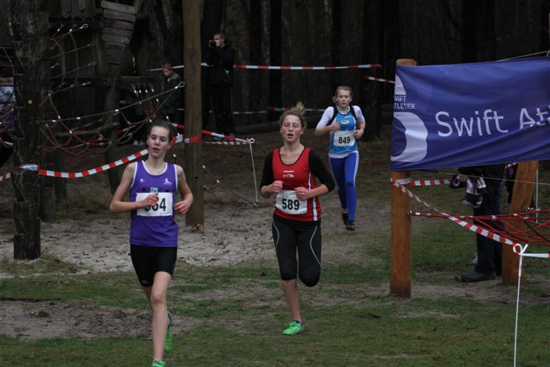 Klik op de foto om originele grootte te bekijken