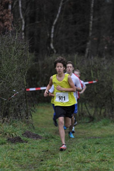 Klik op de foto om originele grootte te bekijken