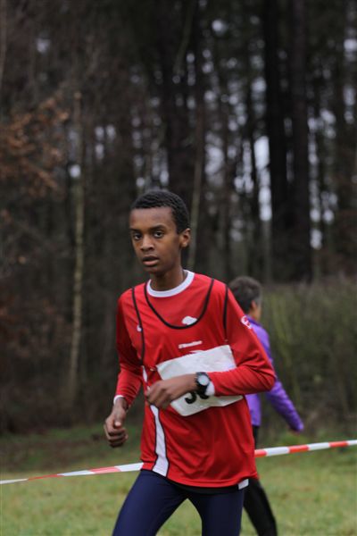 Klik op de foto om originele grootte te bekijken
