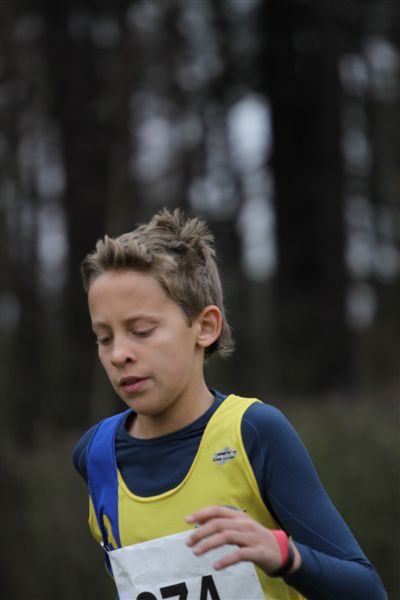 Klik op de foto om originele grootte te bekijken