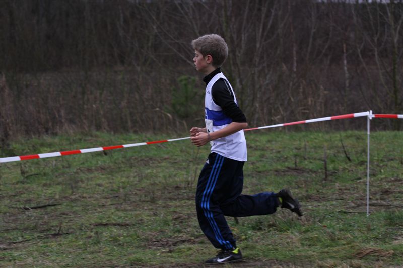 Klik op de foto om originele grootte te bekijken