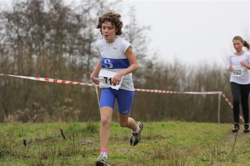 Klik op de foto om originele grootte te bekijken